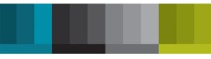 Diploma Healthcare Group Colours