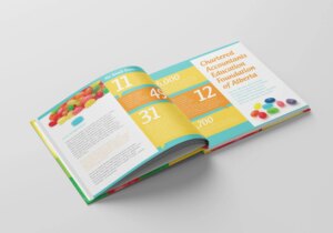 ICAA Bean Counter Media Kit Spread