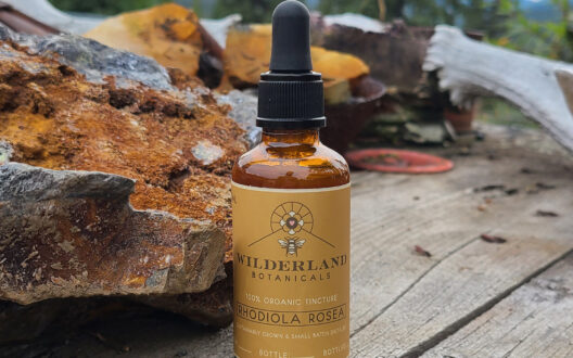 Wilderland Botanicals Rhodiola Tincture